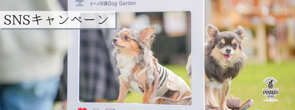 SNSキャンペーン