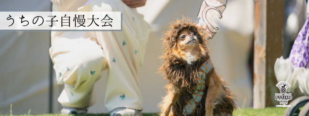 うちの子自慢大会