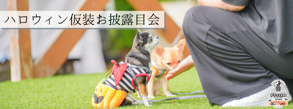 ハロウィン仮装お披露目会＠大阪北港マリーナ