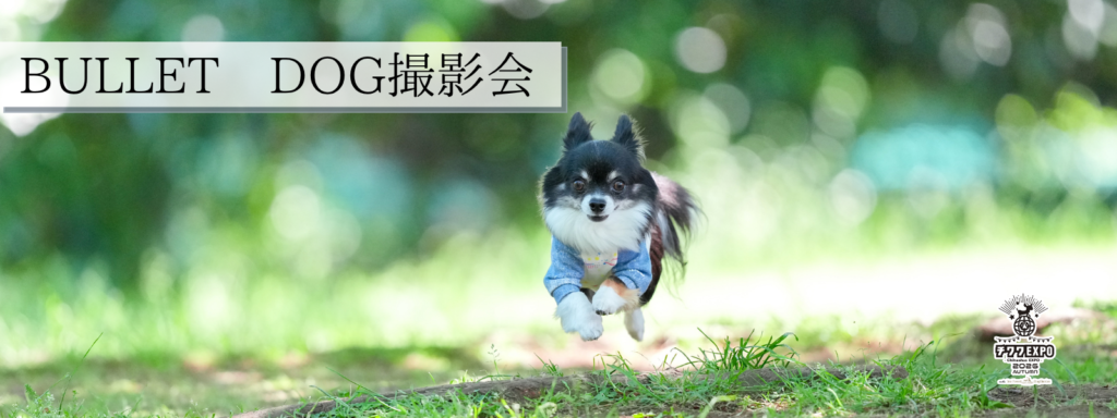 BULLET DOG撮影会