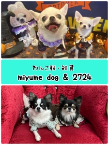 miyumedog & 2724