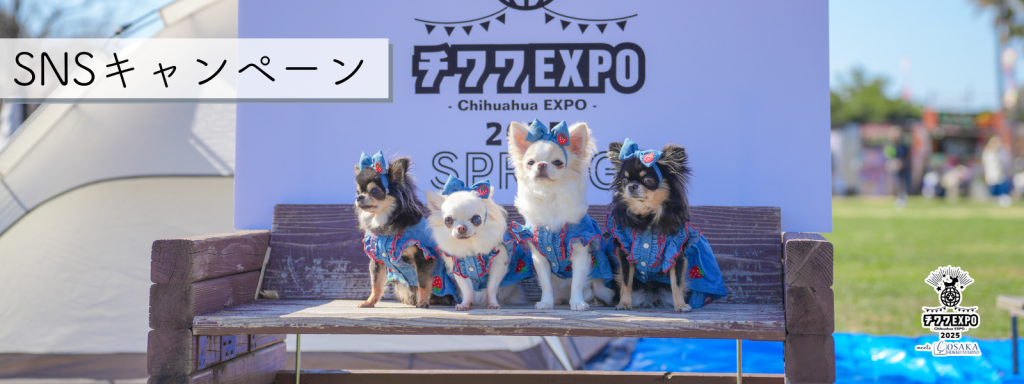 SNSキャンペーン＠大阪北港マリーナ