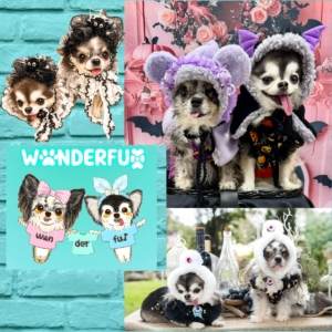 wonderful🐾