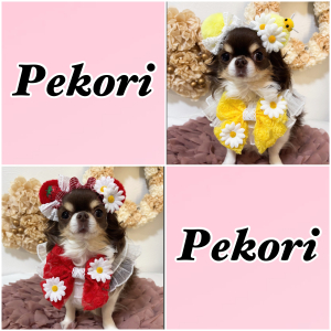 Pekori