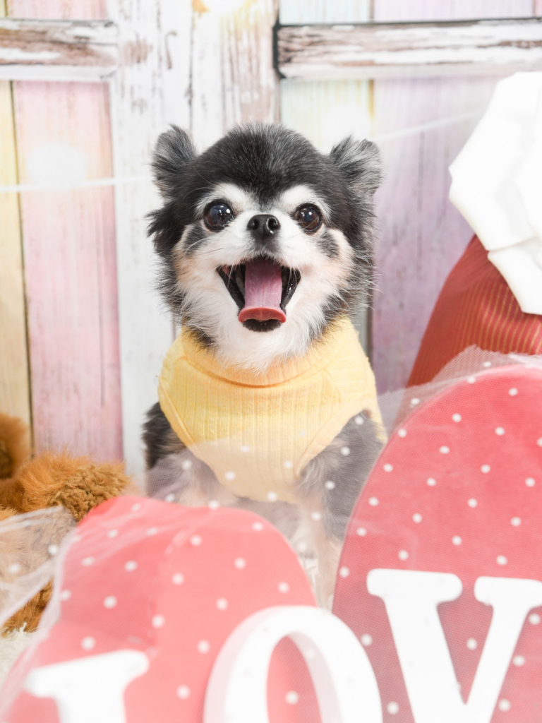 もずくちゃん