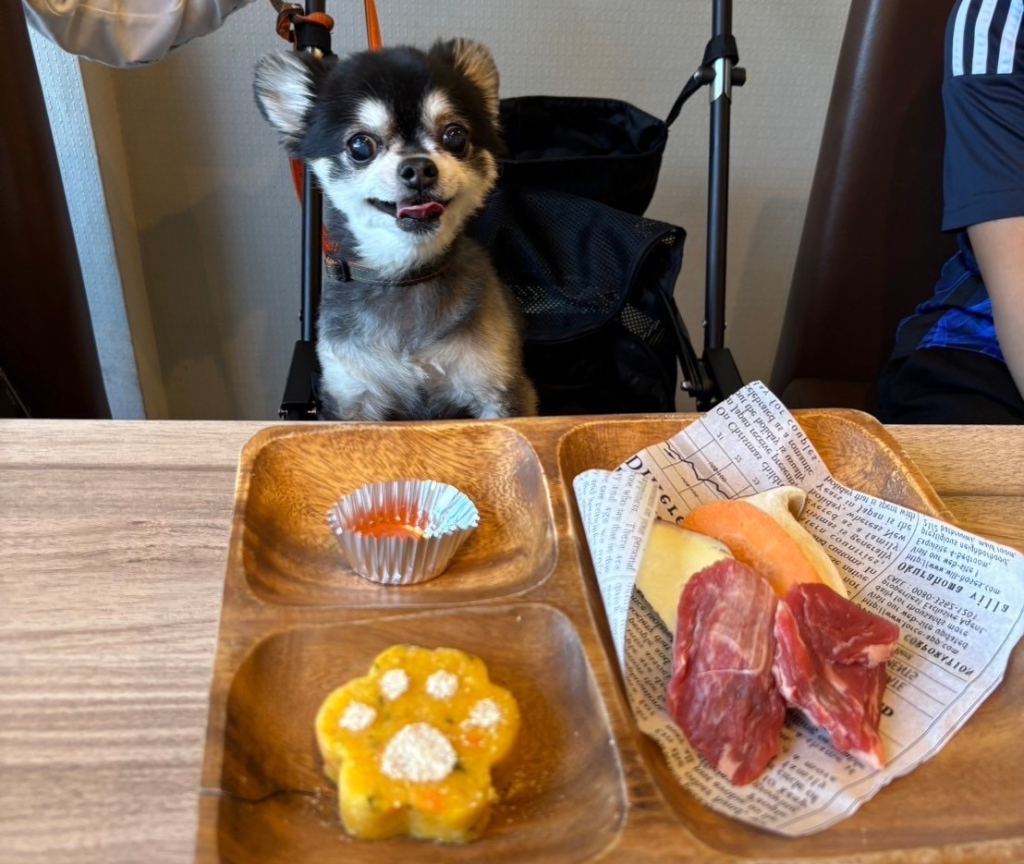 も吉君