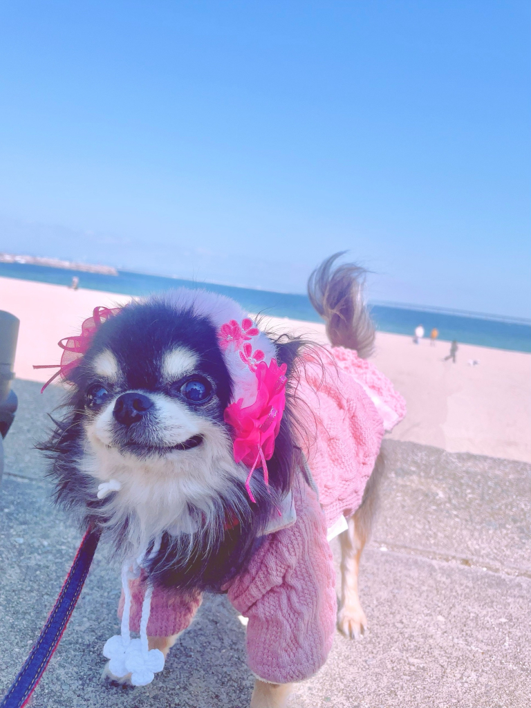 ちよちゃん