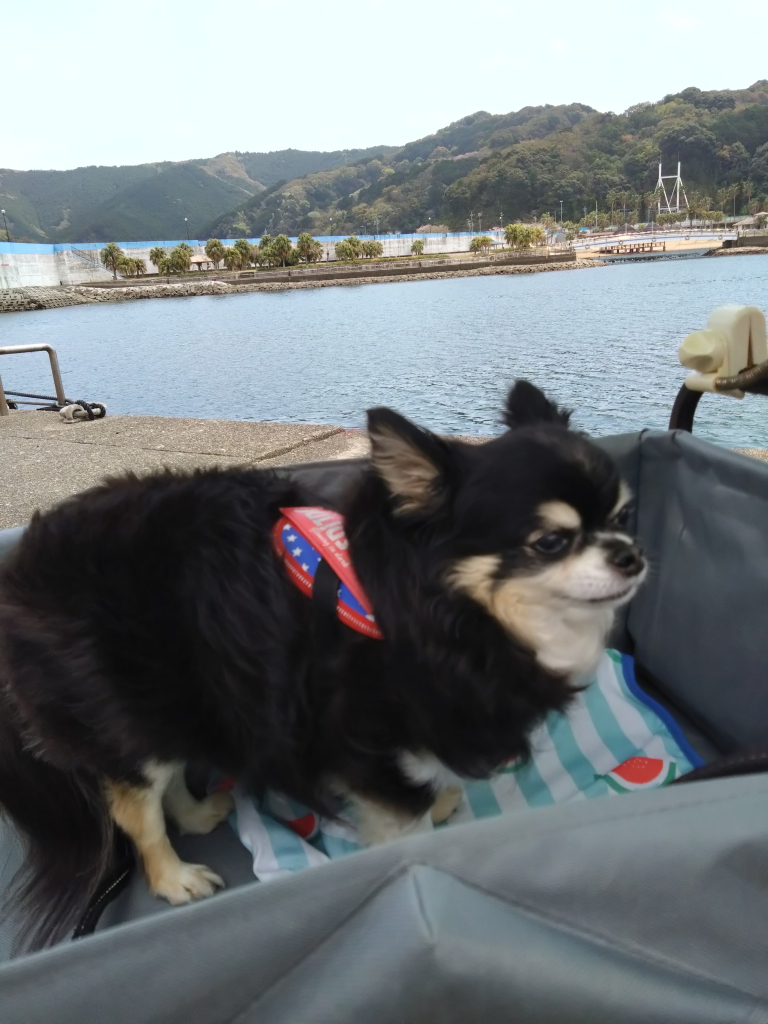 ジャック君