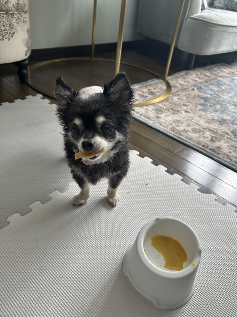 チビちゃん