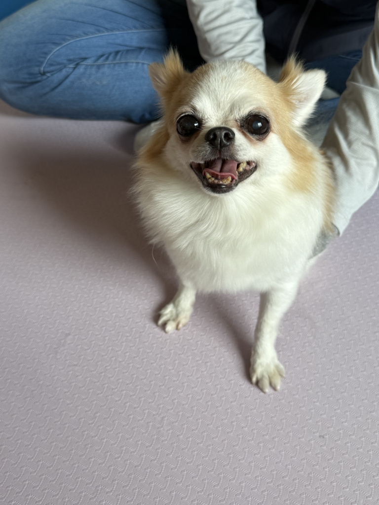 HOPEくん