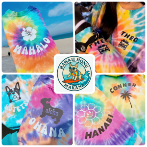 hawaii honu makana