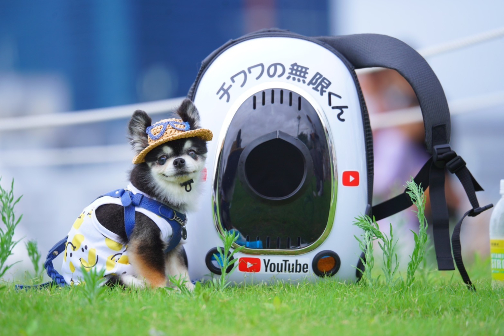 無限くん