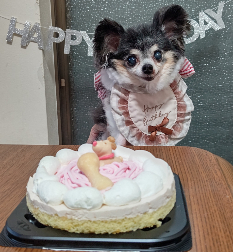 ラキちゃん