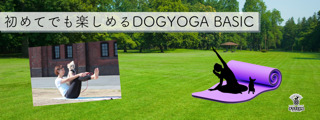 初めてでも楽しめるDOGYOGA BASIC