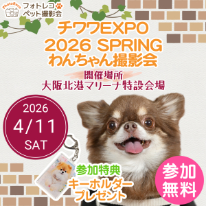 フォトレコペット撮影会