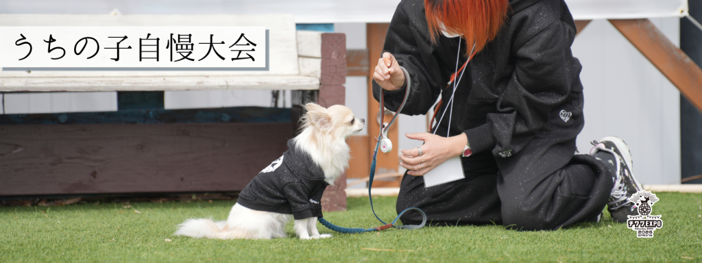 うちの子自慢大会