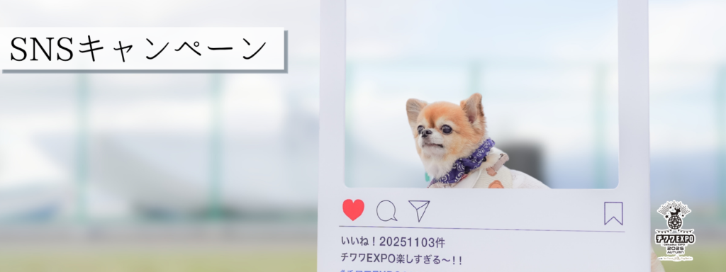 SNSキャンペーン