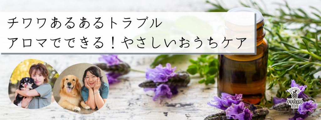 チワワあるあるトラブル アロマでできる！やさしいおうちケア