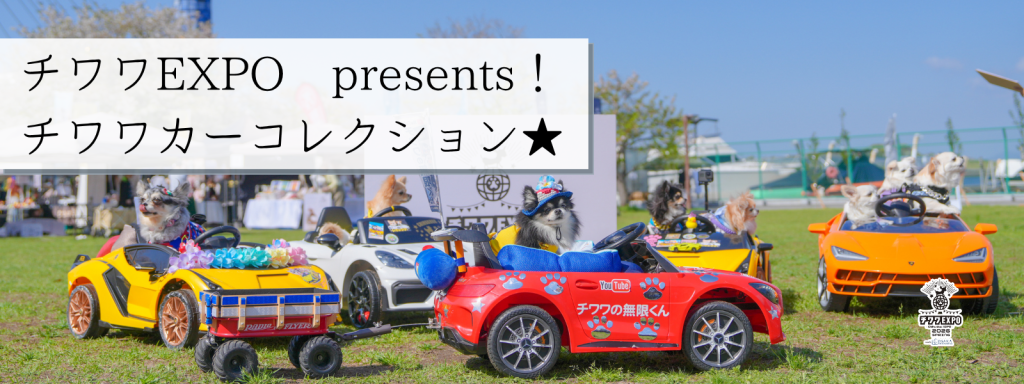 チワワEXPO presents！チワワカーコレクション★