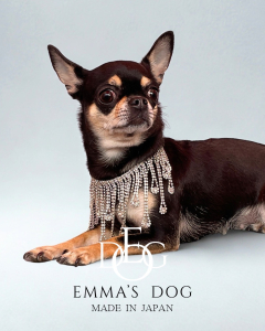 Emma’s Dog