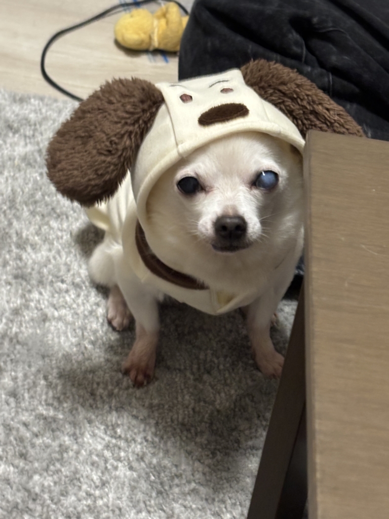 ジョゼフくん
